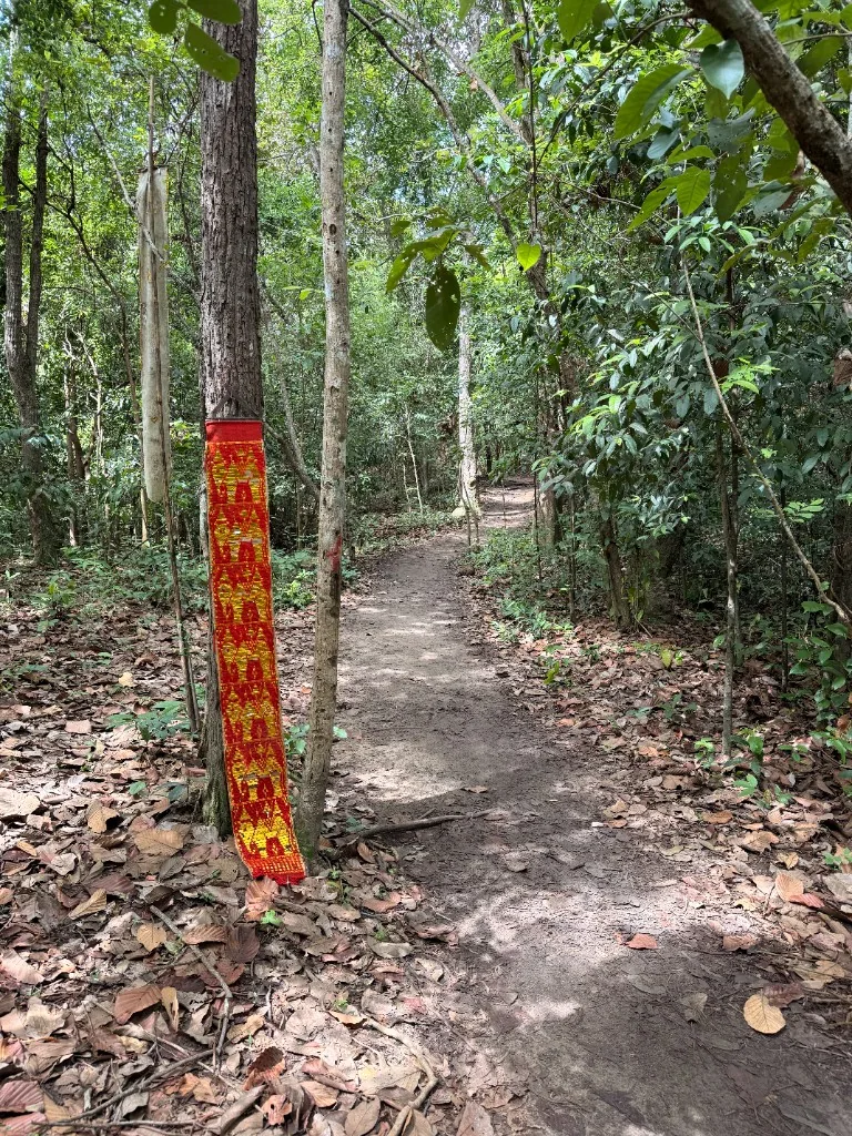 Orange patterned fabric trail marker tied to a tree beside the Monk’s Trail forest path.