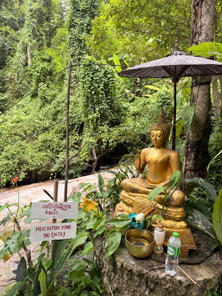 Golden Buddha statue under an umbrella beside a Meditation Zone No Entry sign at Wat Pha Lat.