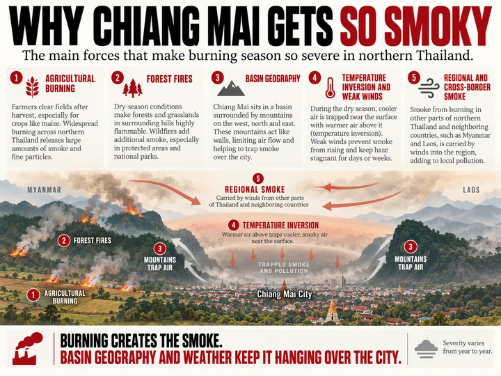 Infographic explaining why Chiang Mai smoke builds during the burning season